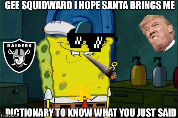 Roast | GEE SQUIDWARD I HOPE SANTA BRINGS ME; DICTIONARY TO KNOW WHAT YOU JUST SAID | image tagged in memes,don't you squidward | made w/ Imgflip meme maker
