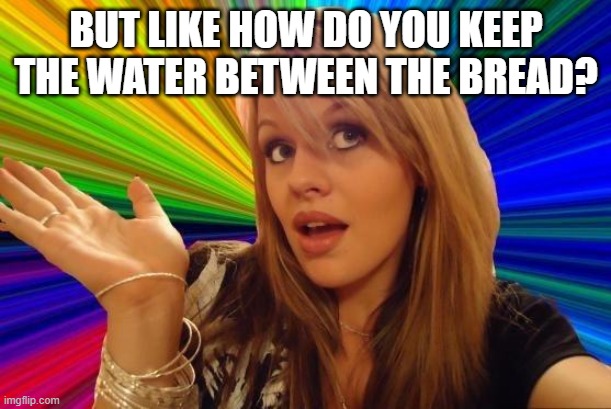 Dumb Blonde Meme | BUT LIKE HOW DO YOU KEEP THE WATER BETWEEN THE BREAD? | image tagged in memes,dumb blonde | made w/ Imgflip meme maker