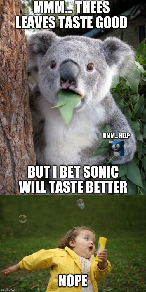 MMM... THEES LEAVES TASTE GOOD; BUT I BET SONIC WILL TASTE BETTER; UMM... HELP; NOPE | image tagged in memes,surprised koala,girl running | made w/ Imgflip meme maker