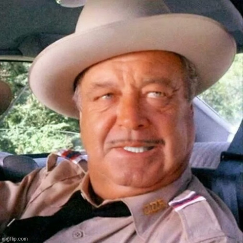 Sheriff Buford T. Justice You Sum Bitch | image tagged in sheriff buford t justice you sum bitch | made w/ Imgflip meme maker