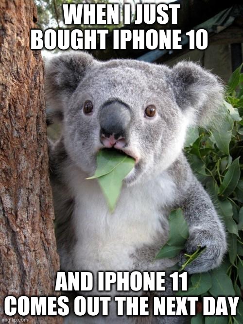 Surprised Koala | WHEN I JUST BOUGHT IPHONE 10; AND IPHONE 11 COMES OUT THE NEXT DAY | image tagged in memes,surprised koala | made w/ Imgflip meme maker