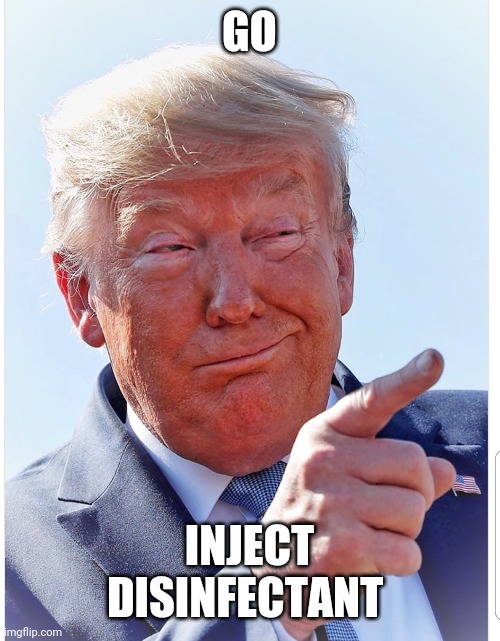 Trump pointing | GO INJECT DISINFECTANT | image tagged in trump pointing | made w/ Imgflip meme maker