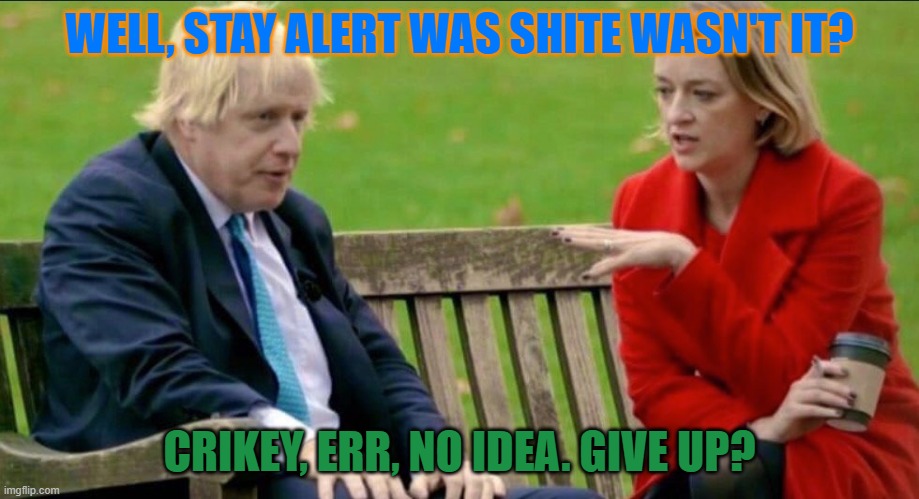Stay Alert | WELL, STAY ALERT WAS SHITE WASN'T IT? CRIKEY, ERR, NO IDEA. GIVE UP? | image tagged in covid19,boris | made w/ Imgflip meme maker