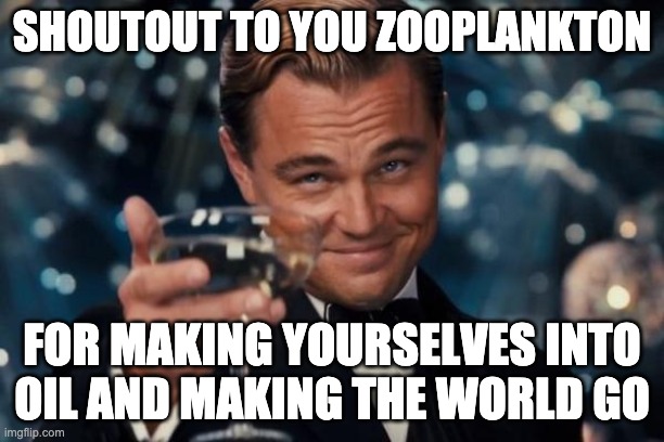 Yes.  Oil is made from zooplankton | SHOUTOUT TO YOU ZOOPLANKTON; FOR MAKING YOURSELVES INTO OIL AND MAKING THE WORLD GO | image tagged in memes,leonardo dicaprio cheers | made w/ Imgflip meme maker