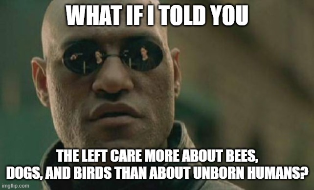 Matrix Morpheus Meme | WHAT IF I TOLD YOU THE LEFT CARE MORE ABOUT BEES, DOGS, AND BIRDS THAN ABOUT UNBORN HUMANS? | image tagged in memes,matrix morpheus | made w/ Imgflip meme maker