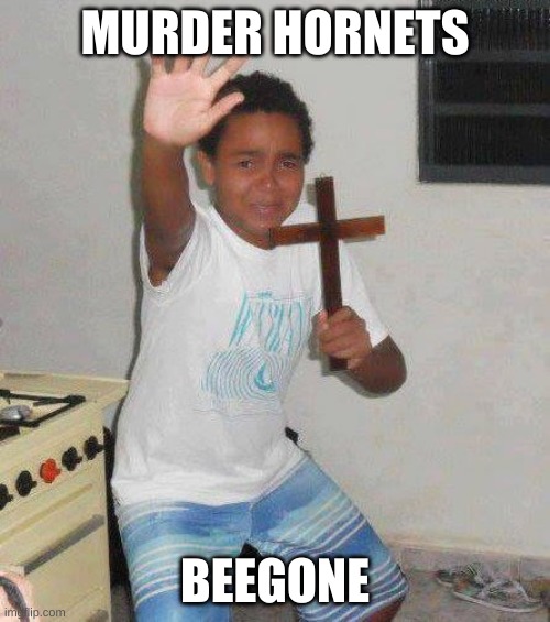 ye |  MURDER HORNETS; BEEGONE | image tagged in crucifix boy | made w/ Imgflip meme maker