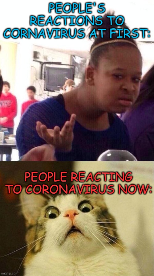 the now and then... | PEOPLE'S REACTIONS TO CORNAVIRUS AT FIRST:; PEOPLE REACTING TO CORONAVIRUS NOW: | image tagged in memes,scared cat,black girl wat | made w/ Imgflip meme maker