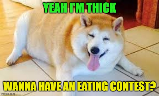 Thicc Doggo | YEAH I'M THICK; WANNA HAVE AN EATING CONTEST? | image tagged in thicc doggo | made w/ Imgflip meme maker