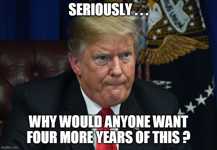 SERIOUSLY . . . WHY WOULD ANYONE WANT FOUR MORE YEARS OF THIS ? | image tagged in trump | made w/ Imgflip meme maker