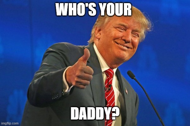 WHO'S YOUR DADDY?  THIS SHOULD STIR THINGS UP | WHO'S YOUR; DADDY? | image tagged in trump winning smarmy grinning,american politics,who's your daddy | made w/ Imgflip meme maker