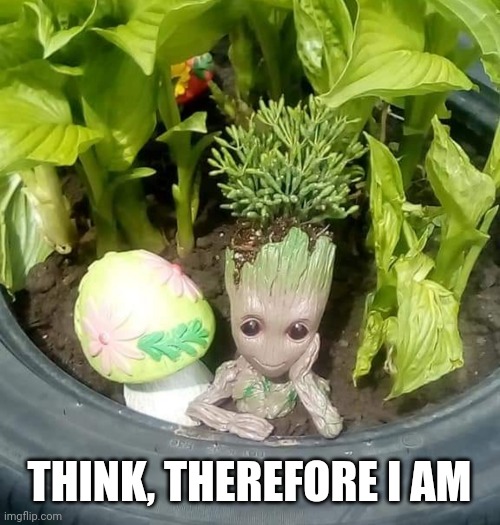 Think | THINK, THEREFORE I AM | image tagged in baby groot | made w/ Imgflip meme maker