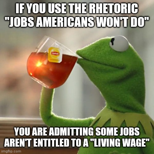 But That's None Of My Business | IF YOU USE THE RHETORIC "JOBS AMERICANS WON'T DO"; YOU ARE ADMITTING SOME JOBS AREN'T ENTITLED TO A "LIVING WAGE" | image tagged in memes,but that's none of my business,kermit the frog | made w/ Imgflip meme maker