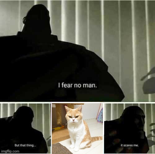 I fear no man | image tagged in i fear no man | made w/ Imgflip meme maker