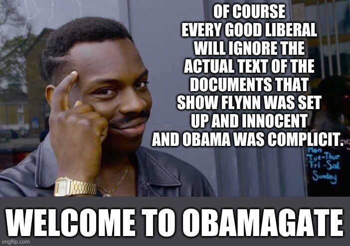 Roll Safe Think About It Meme | OF COURSE EVERY GOOD LIBERAL WILL IGNORE THE ACTUAL TEXT OF THE DOCUMENTS THAT SHOW FLYNN WAS SET UP AND INNOCENT AND OBAMA WAS COMPLICIT. W | image tagged in memes,roll safe think about it | made w/ Imgflip meme maker