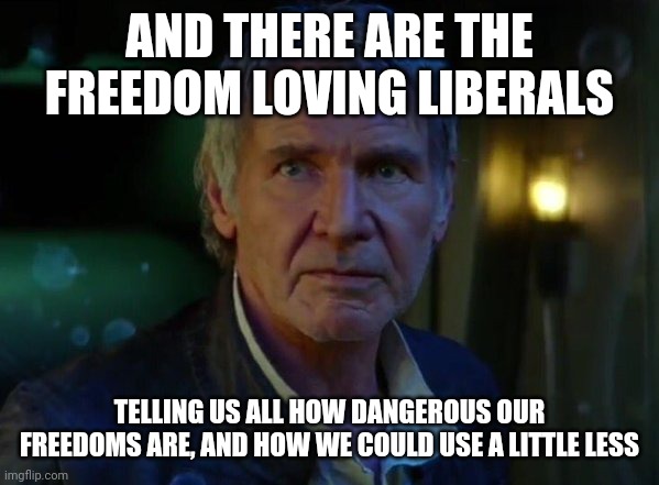 It's true, all of it!  | AND THERE ARE THE FREEDOM LOVING LIBERALS TELLING US ALL HOW DANGEROUS OUR FREEDOMS ARE, AND HOW WE COULD USE A LITTLE LESS | image tagged in it's true all of it | made w/ Imgflip meme maker