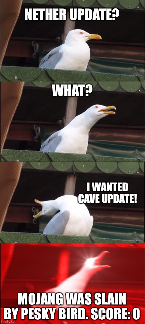 Inhaling Seagull Meme | NETHER UPDATE? WHAT? I WANTED CAVE UPDATE! MOJANG WAS SLAIN BY PESKY BIRD. SCORE: 0 | image tagged in memes,inhaling seagull | made w/ Imgflip meme maker
