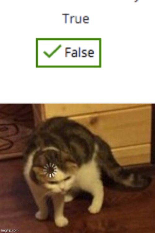 If false is true, then what is true? | image tagged in loading cat | made w/ Imgflip meme maker