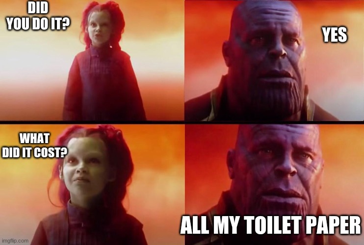 What did it cost? | DID YOU DO IT? YES; WHAT DID IT COST? ALL MY TOILET PAPER | image tagged in what did it cost | made w/ Imgflip meme maker