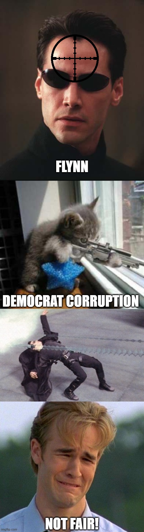 Democrats target anyone associated with Trump and cry foul when it doesn't work. | FLYNN DEMOCRAT CORRUPTION NOT FAIR! | image tagged in catsniper,memes,1990s first world problems,neo matrix keanu reeves,neo dodging a bullet matrix | made w/ Imgflip meme maker