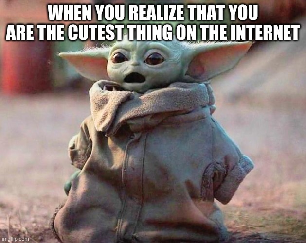 Surprised Baby Yoda | WHEN YOU REALIZE THAT YOU ARE THE CUTEST THING ON THE INTERNET | image tagged in surprised baby yoda | made w/ Imgflip meme maker