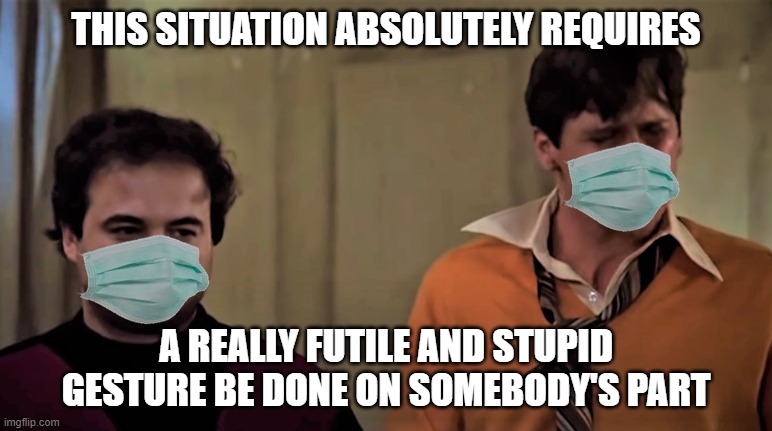Masks are probably useless, aren't they? | THIS SITUATION ABSOLUTELY REQUIRES; A REALLY FUTILE AND STUPID GESTURE BE DONE ON SOMEBODY'S PART | image tagged in face mask,covid | made w/ Imgflip meme maker