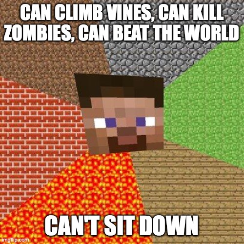 Minecraft Steve | CAN CLIMB VINES, CAN KILL ZOMBIES, CAN BEAT THE WORLD; CAN'T SIT DOWN | image tagged in minecraft steve | made w/ Imgflip meme maker