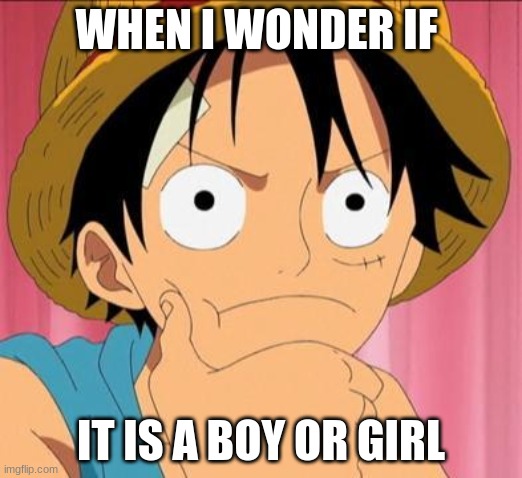 luffy | WHEN I WONDER IF; IT IS A BOY OR GIRL | image tagged in luffy focused | made w/ Imgflip meme maker