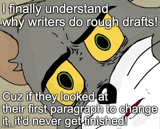 Hey! | I finally understand why writers do rough drafts! Cuz if they looked at their first paragraph to change it, it'd never get finished! | image tagged in memes,unsettled tom,writer,writing,first draft | made w/ Imgflip meme maker