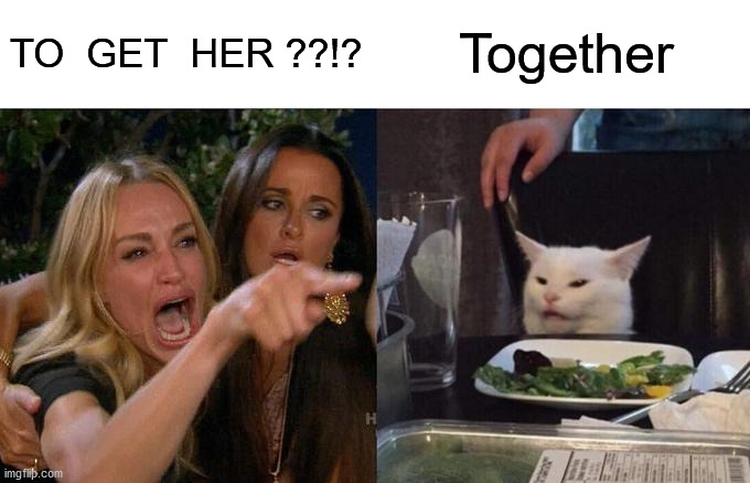 Woman Yelling At Cat Meme | TO  GET  HER ??!? Together | image tagged in memes,woman yelling at cat | made w/ Imgflip meme maker