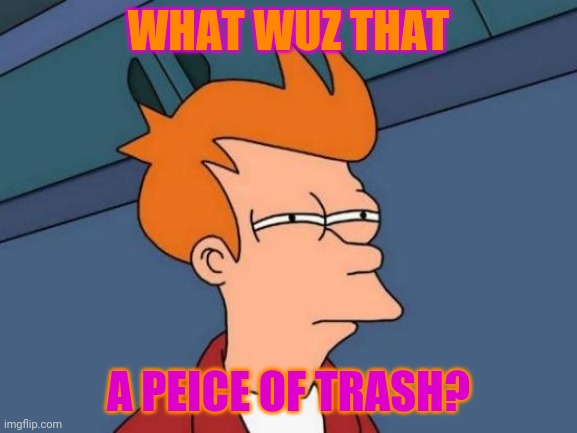 WHAT WUZ THAT A PEICE OF TRASH? | image tagged in memes,futurama fry | made w/ Imgflip meme maker