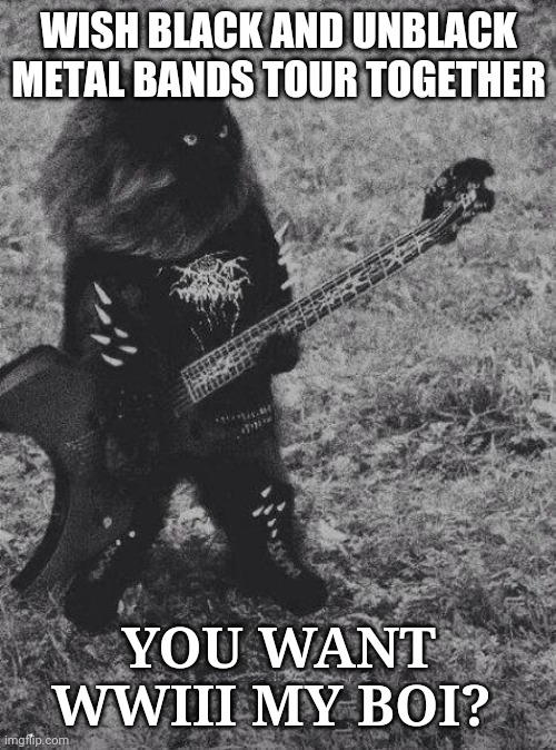 Black metal | WISH BLACK AND UNBLACK METAL BANDS TOUR TOGETHER; YOU WANT WWIII MY BOI? | image tagged in black metal cat | made w/ Imgflip meme maker