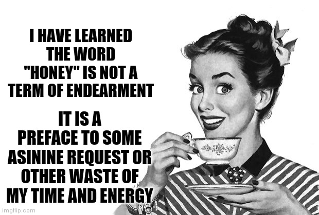 1950s Housewife | I HAVE LEARNED THE WORD "HONEY" IS NOT A TERM OF ENDEARMENT; IT IS A PREFACE TO SOME ASININE REQUEST OR OTHER WASTE OF MY TIME AND ENERGY | image tagged in 1950s housewife | made w/ Imgflip meme maker