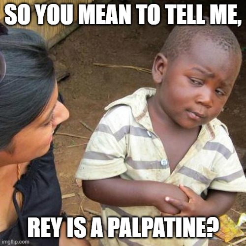 Third World Skeptical Kid Meme | SO YOU MEAN TO TELL ME, REY IS A PALPATINE? | image tagged in memes,third world skeptical kid | made w/ Imgflip meme maker