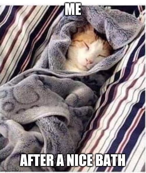 NICE AND COZY | ME; AFTER A NICE BATH | image tagged in cats,funny cats | made w/ Imgflip meme maker