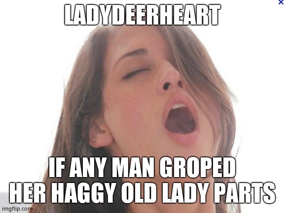 orgasm | LADYDEERHEART IF ANY MAN GROPED HER HAGGY OLD LADY PARTS | image tagged in orgasm | made w/ Imgflip meme maker