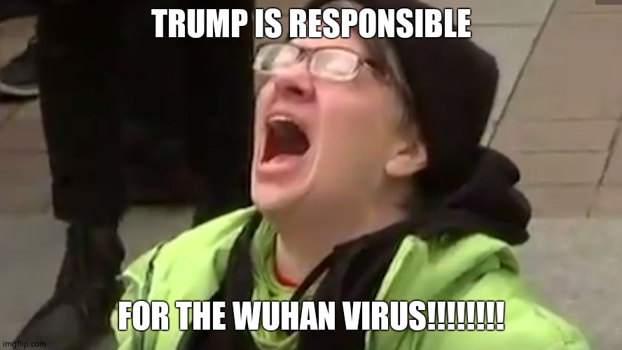 Screaming Liberal  | TRUMP IS RESPONSIBLE FOR THE WUHAN VIRUS!!!!!!!! | image tagged in screaming liberal | made w/ Imgflip meme maker