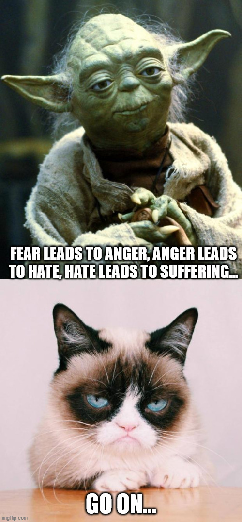 FEAR LEADS TO ANGER, ANGER LEADS TO HATE, HATE LEADS TO SUFFERING... GO ON... | image tagged in memes,star wars yoda,grumpy cat again,star wars | made w/ Imgflip meme maker