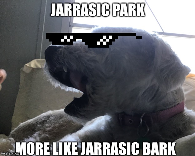 my doge | JARRASIC PARK; MORE LIKE JARRASIC BARK | image tagged in dog | made w/ Imgflip meme maker