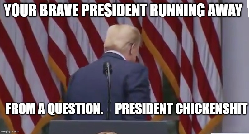 YOUR BRAVE PRESIDENT RUNNING AWAY; FROM A QUESTION.     PRESIDENT CHICKENSHIT | image tagged in donald trump,maga,trump | made w/ Imgflip meme maker