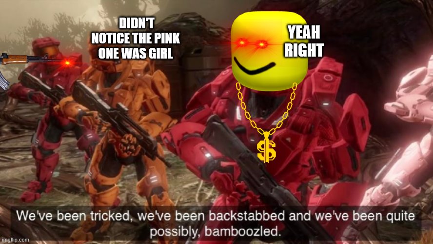 the pink guy | DIDN'T NOTICE THE PINK ONE WAS GIRL; YEAH RIGHT | image tagged in we have ben bamboozled halo | made w/ Imgflip meme maker