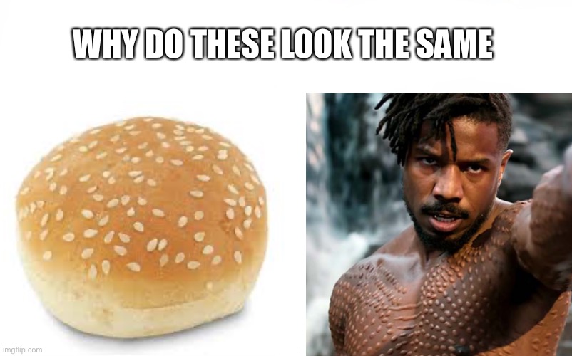 Why did they make the black panther villain look like a brown sesame seed bun | WHY DO THESE LOOK THE SAME | image tagged in black panther,simular | made w/ Imgflip meme maker