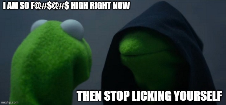Evil Kermit | I AM SO F@#$@#$ HIGH RIGHT NOW; THEN STOP LICKING YOURSELF | image tagged in memes,evil kermit | made w/ Imgflip meme maker