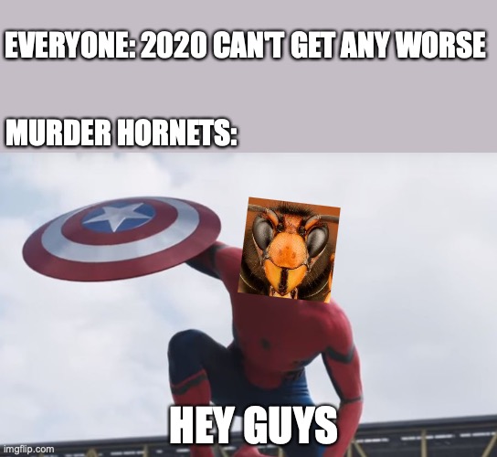 murder hornet, hey guys | EVERYONE: 2020 CAN'T GET ANY WORSE; MURDER HORNETS:; HEY GUYS | image tagged in spider man hey guys | made w/ Imgflip meme maker