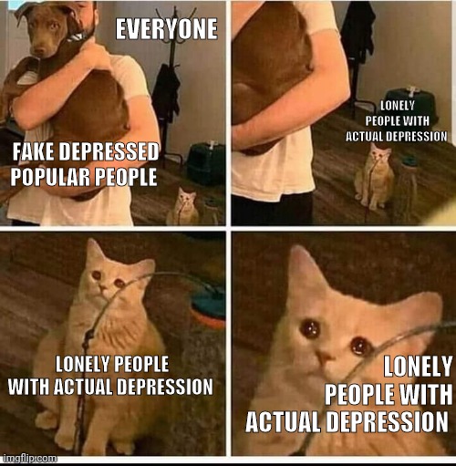 Forgotten Sad Cat | EVERYONE; LONELY PEOPLE WITH ACTUAL DEPRESSION; FAKE DEPRESSED POPULAR PEOPLE; LONELY PEOPLE WITH ACTUAL DEPRESSION; LONELY PEOPLE WITH ACTUAL DEPRESSION | image tagged in forgotten sad cat,society,lonely,depression,fake people,fake friends | made w/ Imgflip meme maker