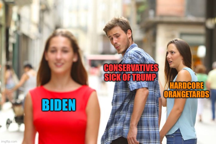 Distracted Boyfriend Meme | BIDEN CONSERVATIVES SICK OF TRUMP HARDCORE ORANGETARDS | image tagged in memes,distracted boyfriend | made w/ Imgflip meme maker