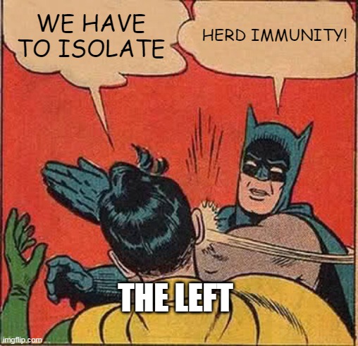 Batman Slapping Robin Meme | WE HAVE TO ISOLATE; HERD IMMUNITY! THE LEFT | image tagged in memes,batman slapping robin | made w/ Imgflip meme maker