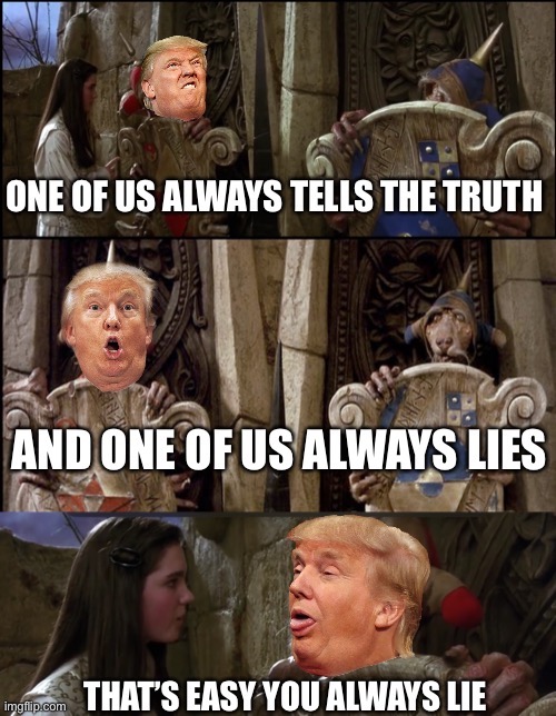 Worlds easiest riddle | image tagged in donald trump | made w/ Imgflip meme maker