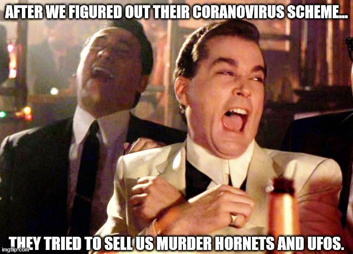 I ain't buyin' it. | AFTER WE FIGURED OUT THEIR CORANOVIRUS SCHEME... THEY TRIED TO SELL US MURDER HORNETS AND UFOS. | image tagged in memes,good fellas hilarious | made w/ Imgflip meme maker