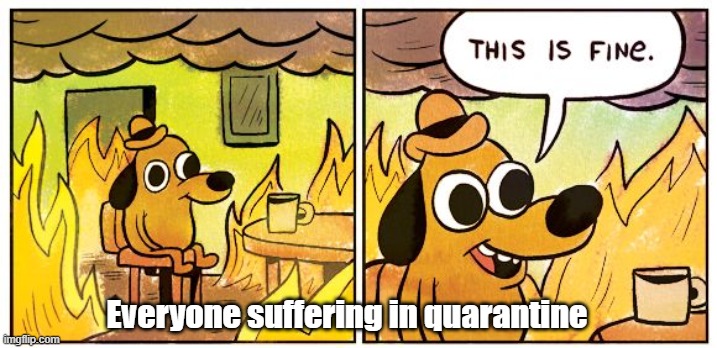 This Is Fine Meme |  Everyone suffering in quarantine | image tagged in memes,this is fine | made w/ Imgflip meme maker