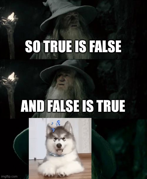 Confused Gandalf Meme | SO TRUE IS FALSE AND FALSE IS TRUE | image tagged in memes,confused gandalf | made w/ Imgflip meme maker